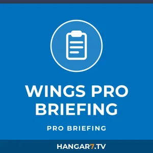 WINGS Pro Briefing logo