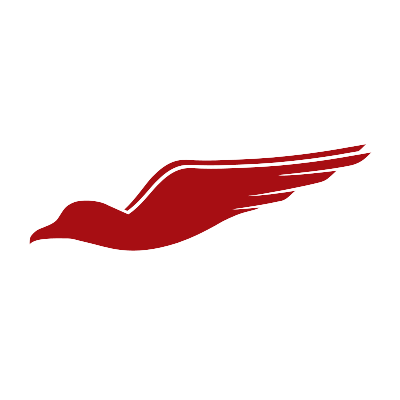 Redbird Flight Simulations